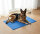 Kühlmatte für Hunde und Katzen, Selbstkühlend, blau - X-Large 96x81cm